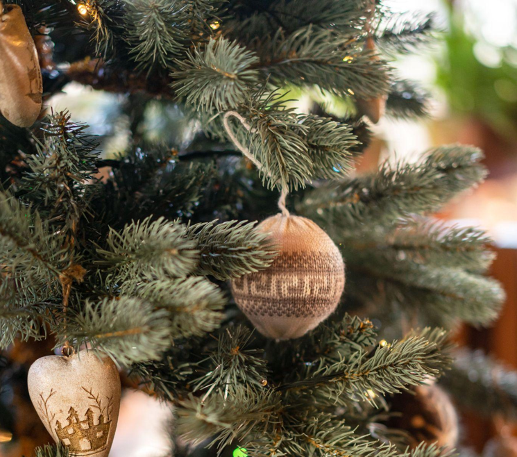 Independence Day with a Christmas Tree for Sale in July